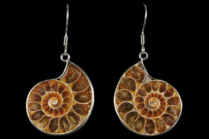Fossil Ammonite Earrings - Million Years Old #112219